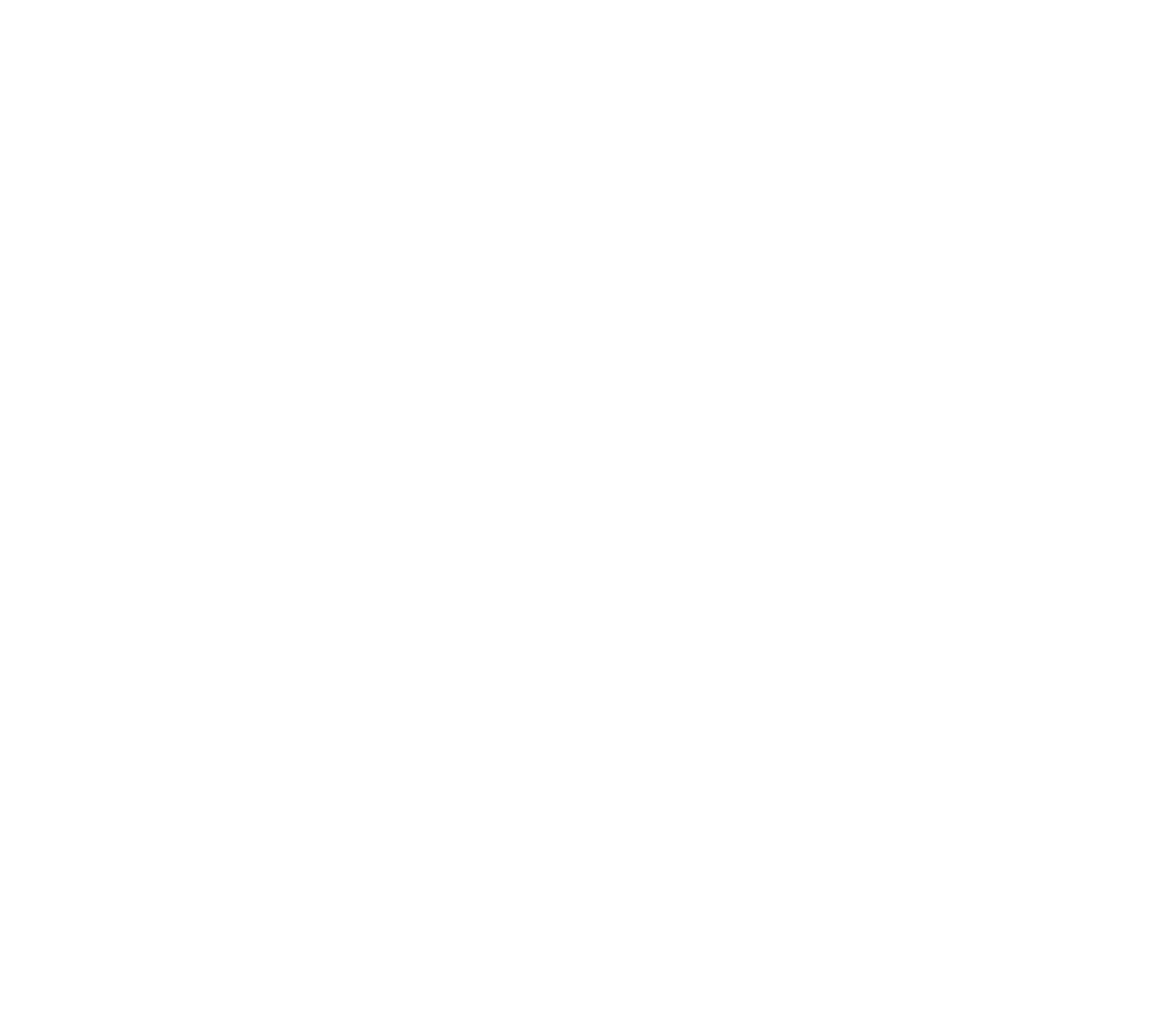 Rubiq Financial Partners logo